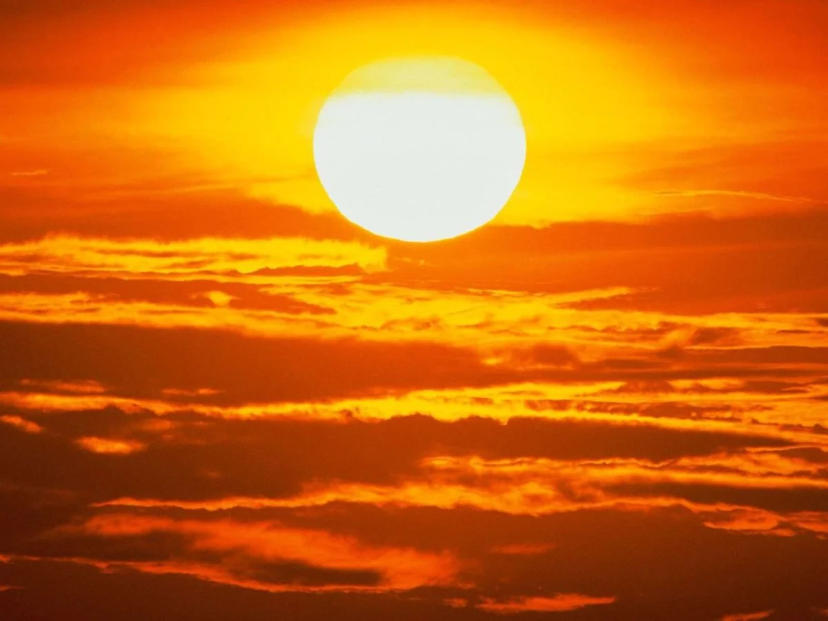sun.webp