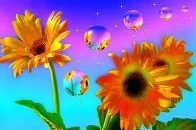 Sunflowers Raindrop Rainbow.webp