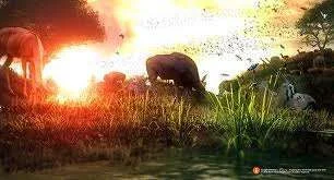 sunlight.webp