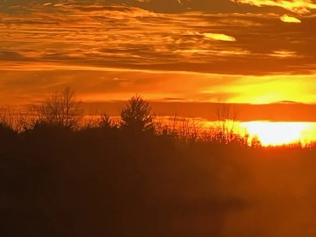 sunset 01122022_2.webp