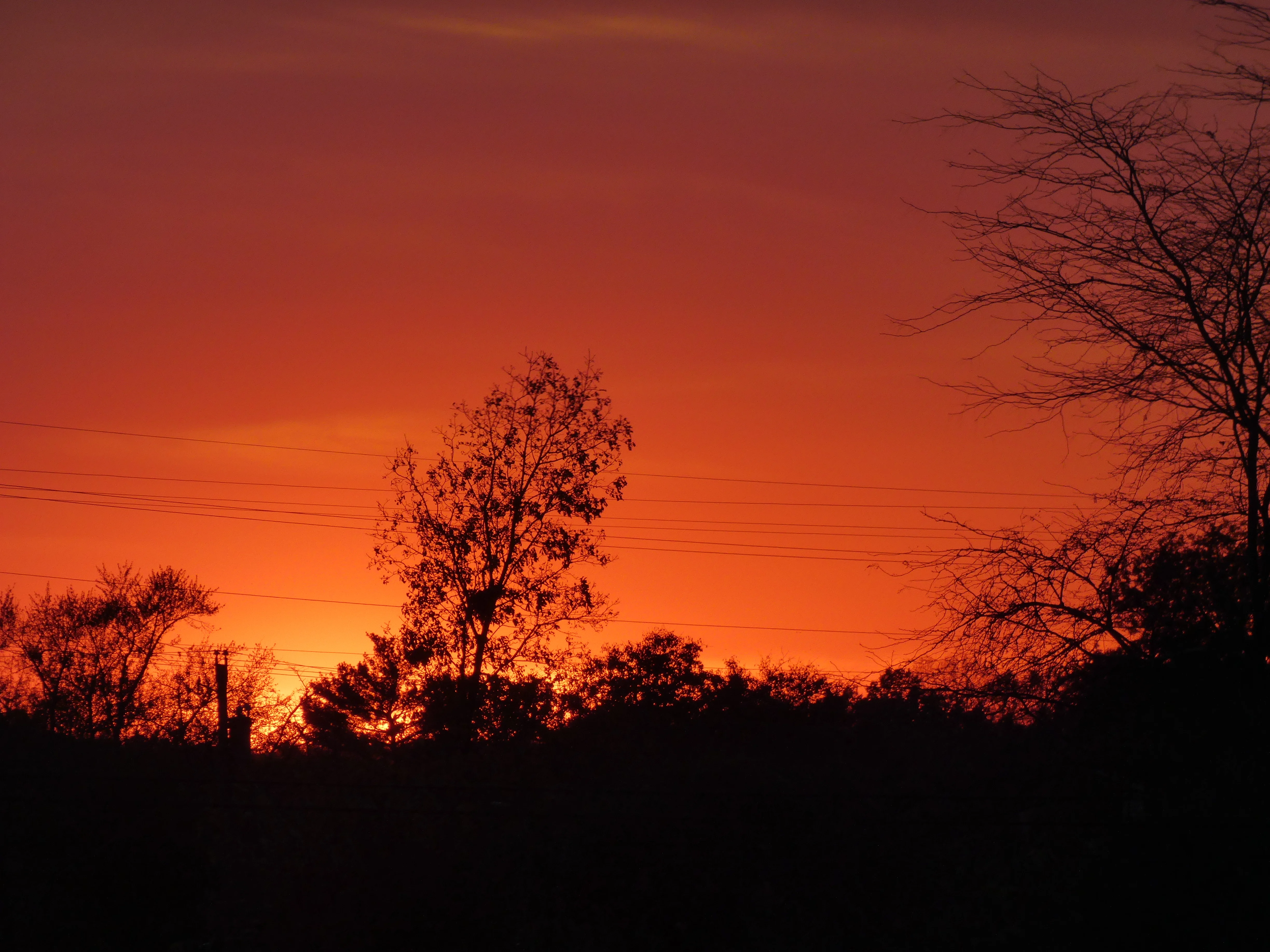 sunset_2 11032023.webp