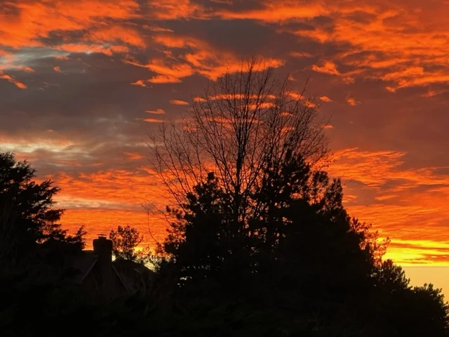 sunset_2 12012022.jpeg
