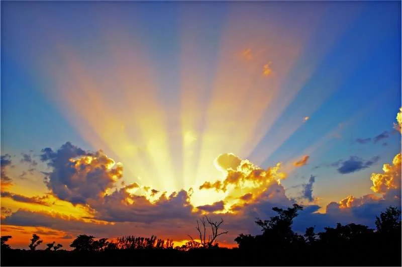 sunshine.webp