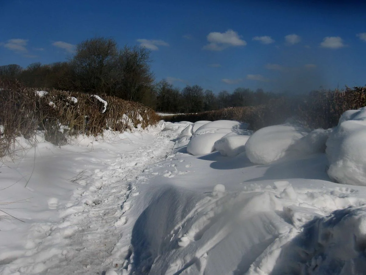 Surreal snow - Benthall.webp