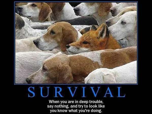 Survival.webp