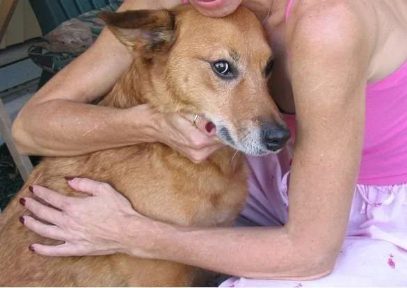 Sweet Susie.webp