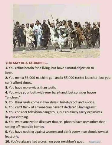 Taliban Reasons.webp