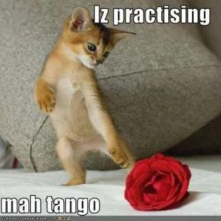 Tango.webp