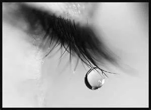 tear.webp