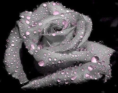 tears-of-love-photomanipulation.webp