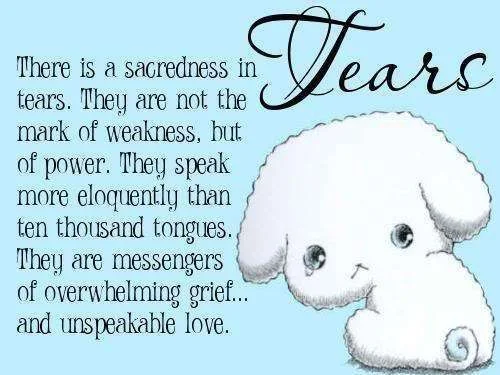 tears3.webp