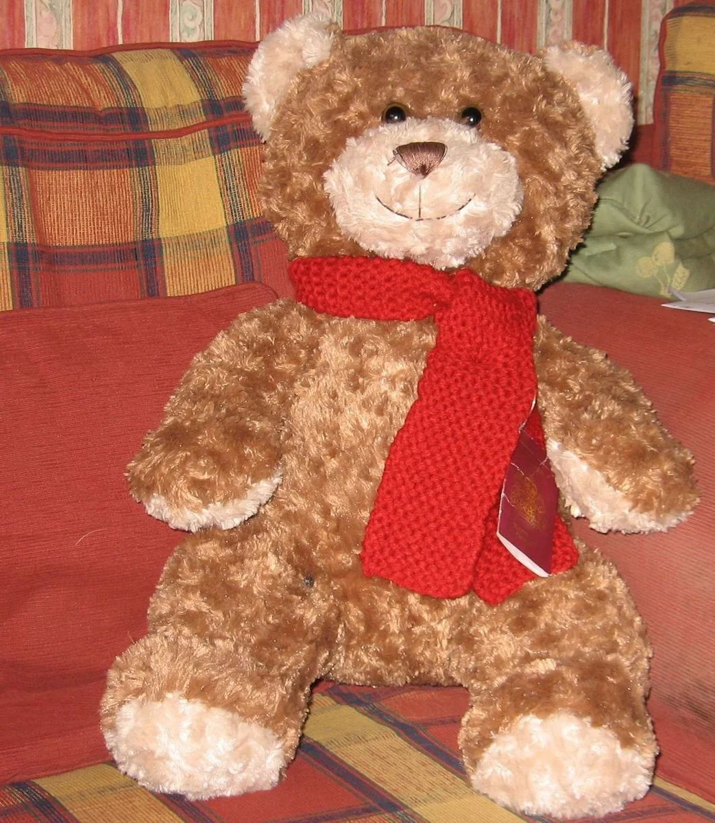 Teddy 2.webp