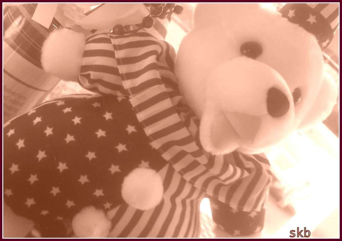Teddy Bear in Sepia Tones.webp