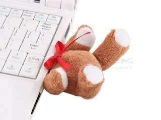 Teddy Bear.webp