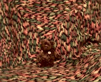 Teddy on blanket.webp