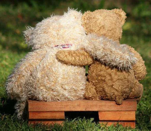 teddy_bears_hugging-20600.webp