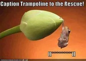 th.webp