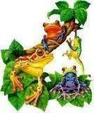 th_frog8.webp