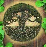 th_tree.webp