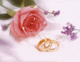 th_weddingRings.gif