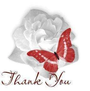 ThankyouRose.webp