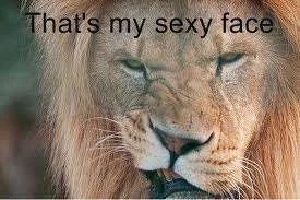 That\'s my sexy face.webp