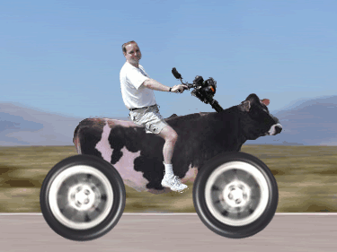 THE Bike.gif