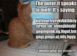 The computer speaks.webp