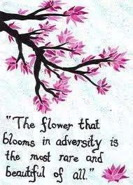 The flower that blooms in adversity.webp