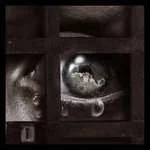 the_prison_within____by_chryssalis-d4gjtvr.webp