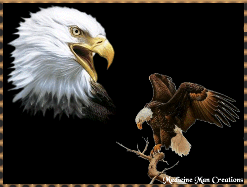 TheEagles.gif