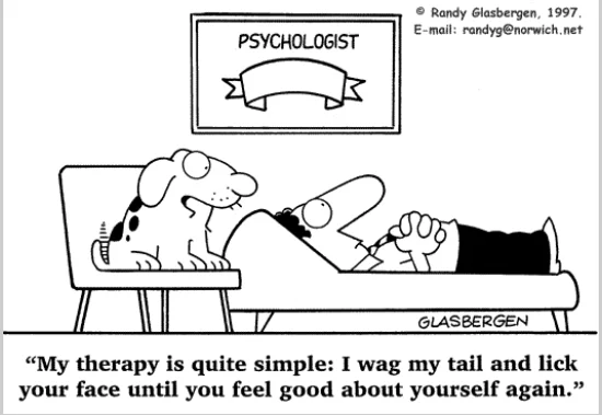 therapy joke about a dog.webp