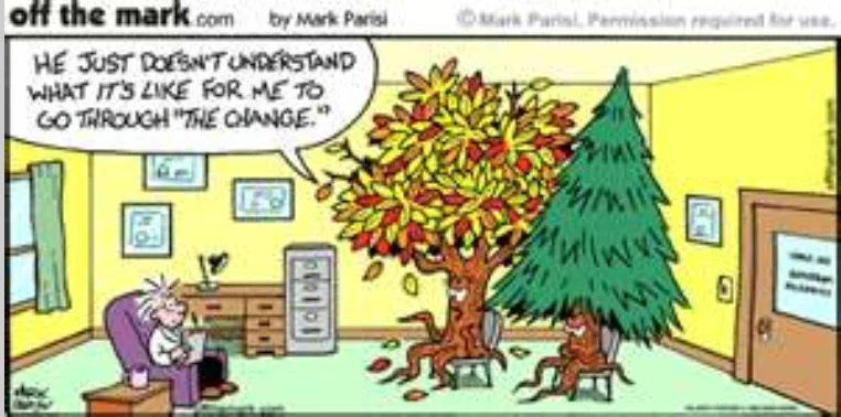 therapy joke about trees.webp