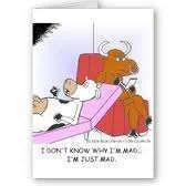therapy, mad cow.webp