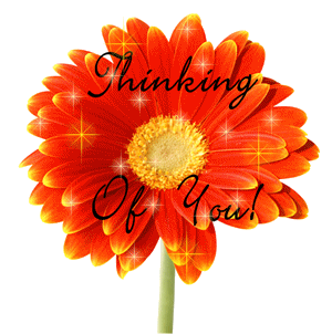 thinking of you photo1.gif