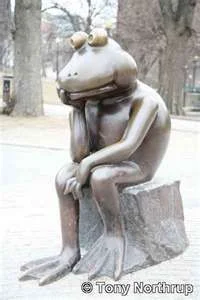 Thinkingfrog.webp