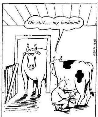 This is what is called a joke!.webp