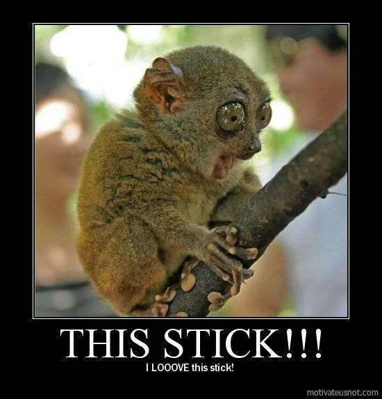 this stick.webp