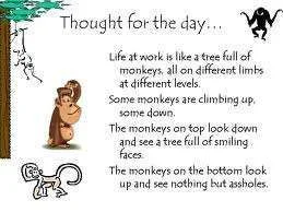 Thought for the day.webp