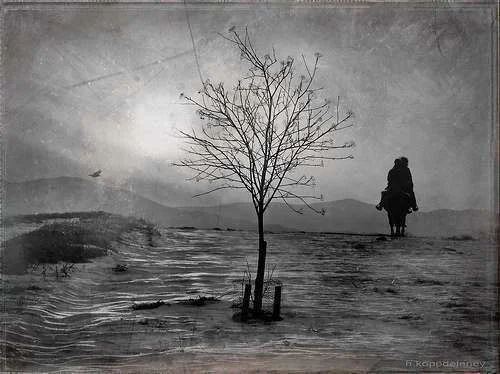 thought-provoking-hope-acceptance-hopelessness.webp