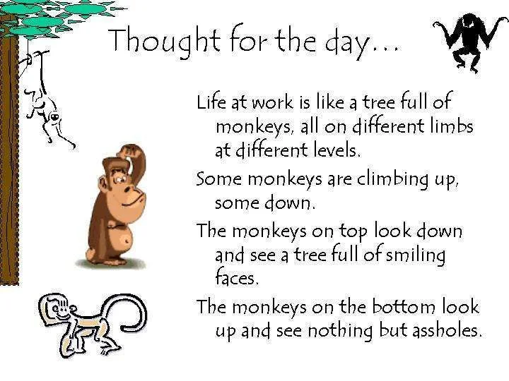 thoughtforthedayfunny.webp