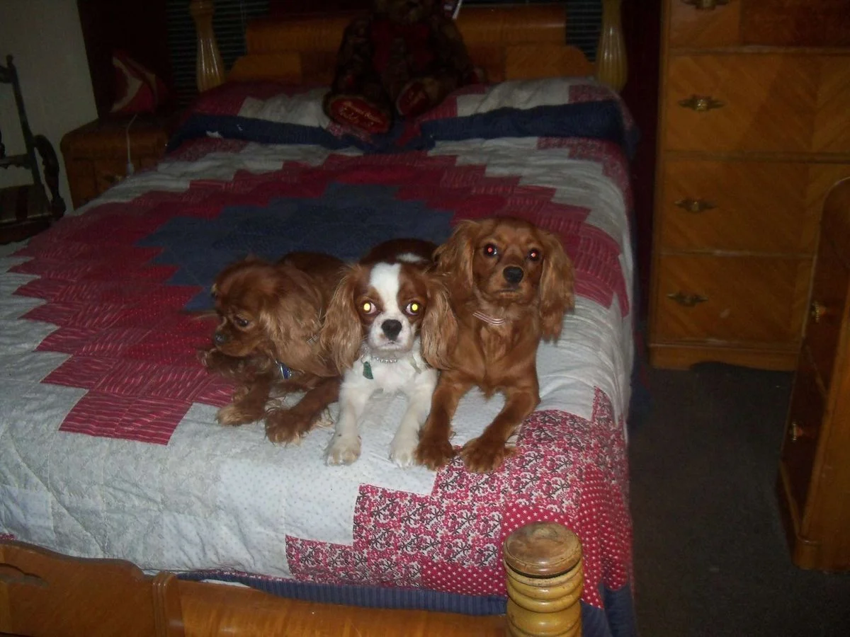 THREE AMIGOS 1 12.webp