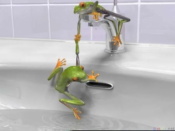 thumb3_cute_green_frogs_.webp