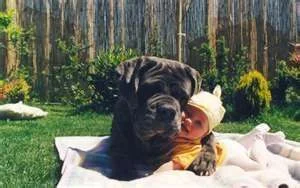 thumbnail (1).webp