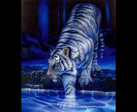 tiger.webp