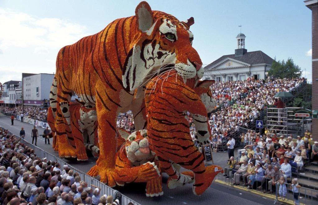 tigerbloemencorso-zundert.webp