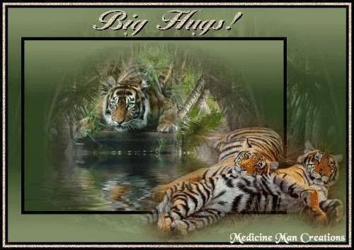 TigerHugs.webp