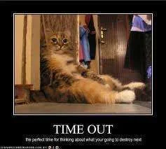 Time out.webp