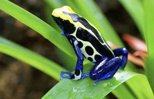 tinc_540x350_1.webp