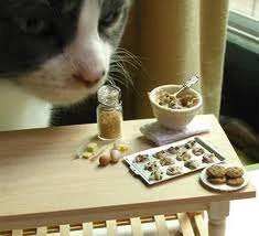 tiny food.webp